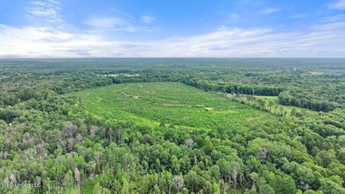 Rare opportunity! Prime land in Copiah County. 111 acres+- - photo 16
