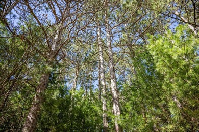 Build Your Dream Home or Getaway Near Castle Rock Lake! Discover - photo 16