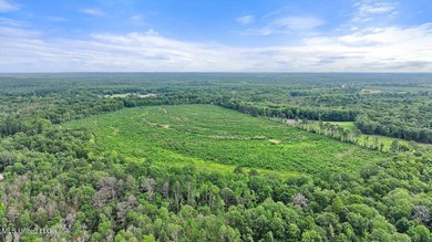 Rare opportunity! Prime land in Copiah County. 111 acres+- - photo 17