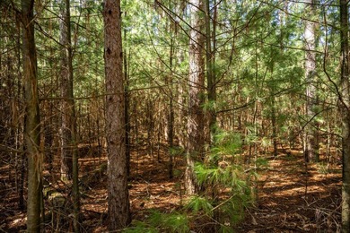 Build Your Dream Home or Getaway Near Castle Rock Lake! Discover - photo 17