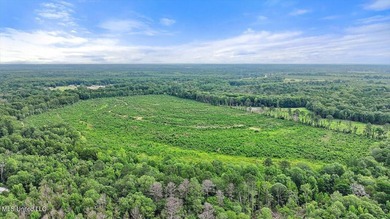 Rare opportunity! Prime land in Copiah County. 111 acres+- - photo 18
