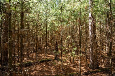 Build Your Dream Home or Getaway Near Castle Rock Lake! Discover - photo 18
