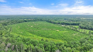 Rare opportunity! Prime land in Copiah County. 111 acres+- - photo 19