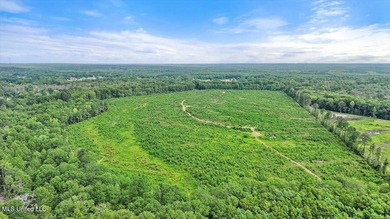 Rare opportunity! Prime land in Copiah County. 111 acres+- - photo 20