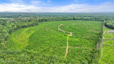 Rare opportunity! Prime land in Copiah County. 111 acres+- - photo 21