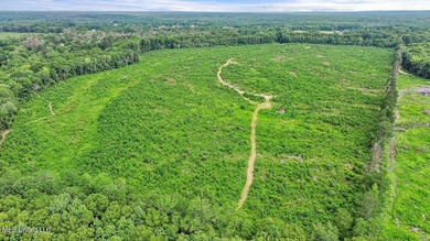 Rare opportunity! Prime land in Copiah County. 111 acres+- - photo 22