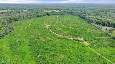 Rare opportunity! Prime land in Copiah County. 111 acres+- - photo 23