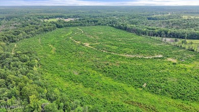 Rare opportunity! Prime land in Copiah County. 111 acres+- - photo 24