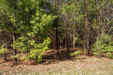 Build Your Dream Home or Getaway Near Castle Rock Lake! Discover - photo 24