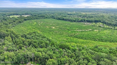 Rare opportunity! Prime land in Copiah County. 111 acres+- - photo 25