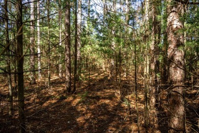 Build Your Dream Home or Getaway Near Castle Rock Lake! Discover - photo 25