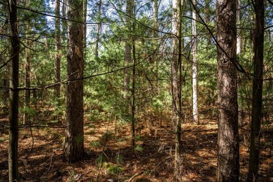 Build Your Dream Home or Getaway Near Castle Rock Lake! Discover - photo 26