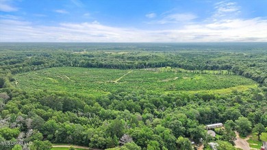 Rare opportunity! Prime land in Copiah County. 111 acres+- - photo 27