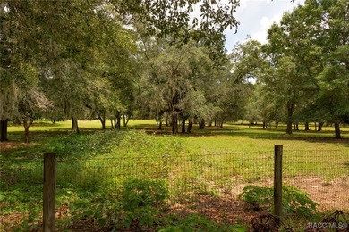 PRICE REDUCED!!!! POSSIBLE OWNER FINANCING WITH HEFTY DOWN - photo 27