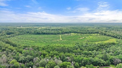 Rare opportunity! Prime land in Copiah County. 111 acres+- - photo 28