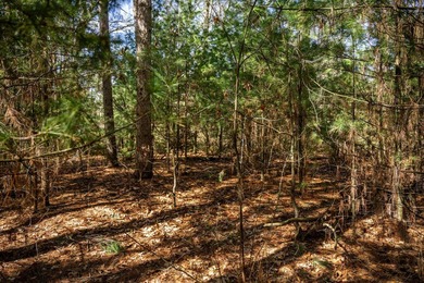 Build Your Dream Home or Getaway Near Castle Rock Lake! Discover - photo 28