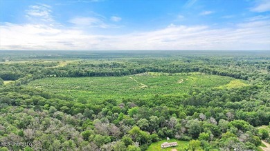 Rare opportunity! Prime land in Copiah County. 111 acres+- - photo 29