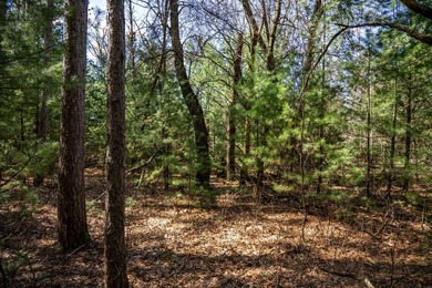 Build Your Dream Home or Getaway Near Castle Rock Lake! Discover - photo 29
