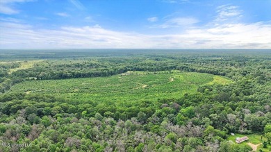 Rare opportunity! Prime land in Copiah County. 111 acres+- - photo 30
