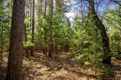 Build Your Dream Home or Getaway Near Castle Rock Lake! Discover - photo 30