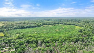 Rare opportunity! Prime land in Copiah County. 111 acres+- - photo 31