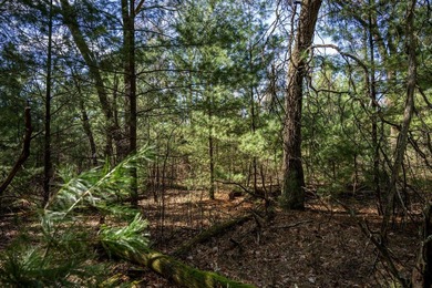 Build Your Dream Home or Getaway Near Castle Rock Lake! Discover - photo 31