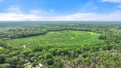 Rare opportunity! Prime land in Copiah County. 111 acres+- - photo 32
