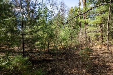 Build Your Dream Home or Getaway Near Castle Rock Lake! Discover - photo 32