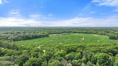 Rare opportunity! Prime land in Copiah County. 111 acres+- - photo 33
