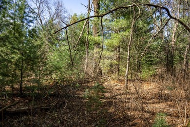 Build Your Dream Home or Getaway Near Castle Rock Lake! Discover - photo 33