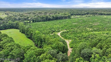 Rare opportunity! Prime land in Copiah County. 111 acres+- - photo 34
