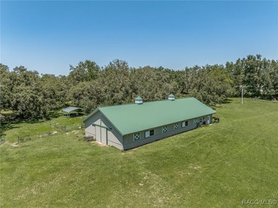 PRICE REDUCED!!!! POSSIBLE OWNER FINANCING WITH HEFTY DOWN - photo 34