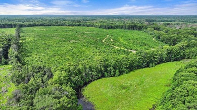 Rare opportunity! Prime land in Copiah County. 111 acres+- - photo 35