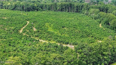 Rare opportunity! Prime land in Copiah County. 111 acres+- - photo 36