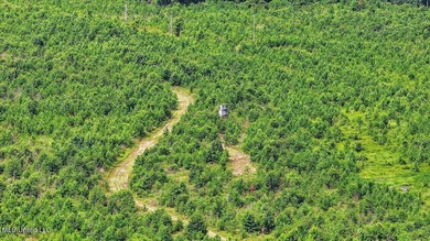 Rare opportunity! Prime land in Copiah County. 111 acres+- - photo 37
