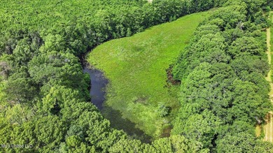 Rare opportunity! Prime land in Copiah County. 111 acres+- - photo 38