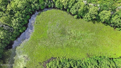 Rare opportunity! Prime land in Copiah County. 111 acres+- - photo 39