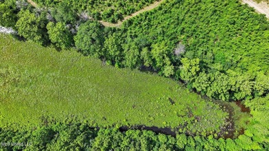 Rare opportunity! Prime land in Copiah County. 111 acres+- - photo 40