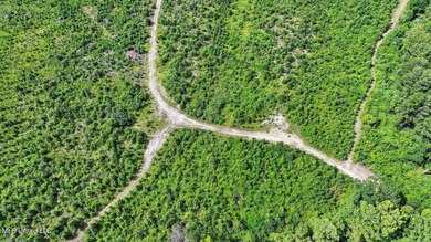Rare opportunity! Prime land in Copiah County. 111 acres+- - photo 41