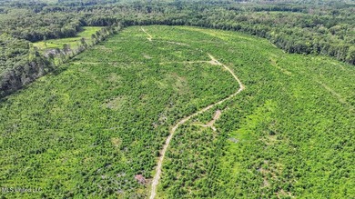 Rare opportunity! Prime land in Copiah County. 111 acres+- - photo 42
