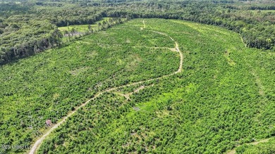 Rare opportunity! Prime land in Copiah County. 111 acres+- - photo 43
