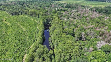 Rare opportunity! Prime land in Copiah County. 111 acres+- - photo 44