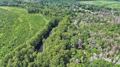 Rare opportunity! Prime land in Copiah County. 111 acres+- - photo 45