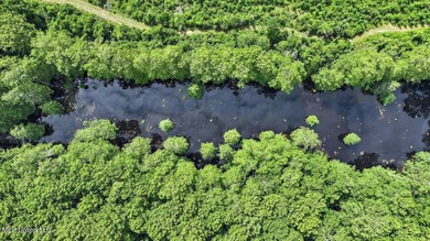 Rare opportunity! Prime land in Copiah County. 111 acres+- - photo 46