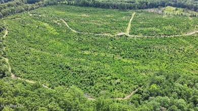 Rare opportunity! Prime land in Copiah County. 111 acres+- - photo 49