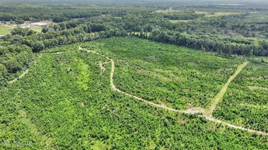 Rare opportunity! Prime land in Copiah County. 111 acres+- - photo 50