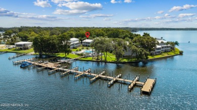 Lake Condo For Sale in Welaka, Florida