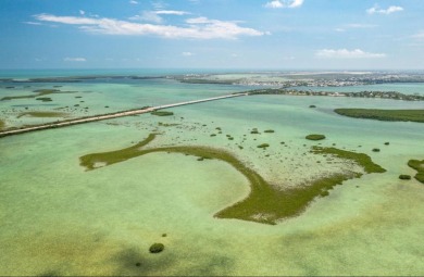 Lake Lot For Sale in Saddlebunch, Florida