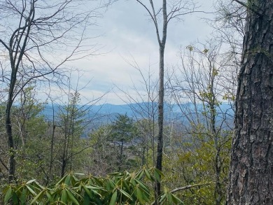 Lake Nantahala Lot For Sale in Andrews North Carolina
