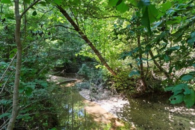 OXFORD MS LAND!! APPROX 320 ACRES IN LAFAYETTE COUNTY WITH - photo 11
